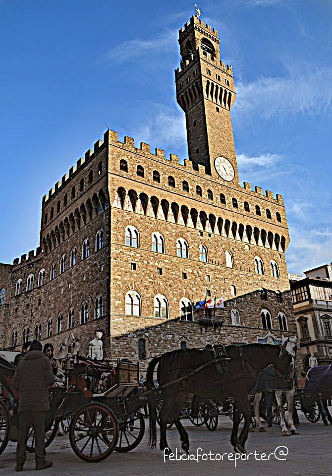 11017433_720953108017166_7390438235689607690_n