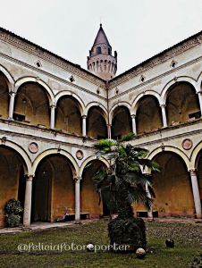 11075290_722691787843298_816278916252207110_n