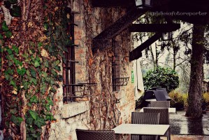 PicsArt_1427141643853