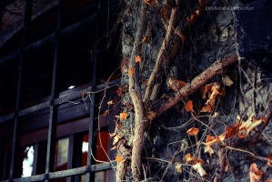 PicsArt_1427141774688