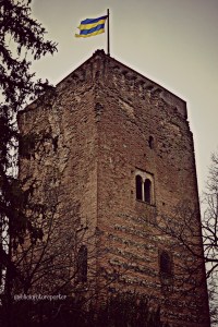 PicsArt_1427143617315