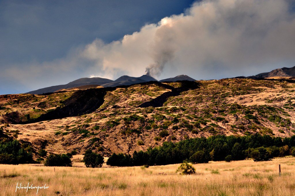 PicsArt_1408054249287