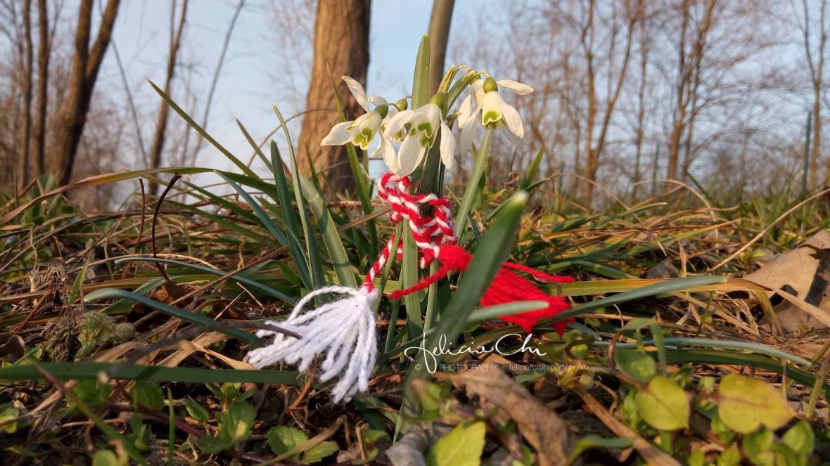 28312563_2222267127800482_527929177_o